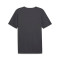 T-Shirt Puma Individualrise Graphic Jersey