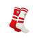 Chaussettes Memoraball Socks Sl Benfica 1904 (2 Paires)