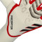Gants adidas Predator Pro Hybrid