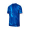 Maillot Nike Chelsea FC Maillot Domicile 2024-2025