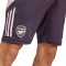 Short adidas Arsenal FC Entraînement 2024-2025