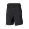 Shorts Puma teamRISE Training Utebo FC