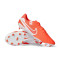 Chaussure de football Nike Tiempo Legend 10 Academy FG/MG