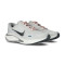 Chaussures Nike Femme Journey Run