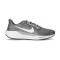 Chaussures Nike Air Zoom Pegasus 41