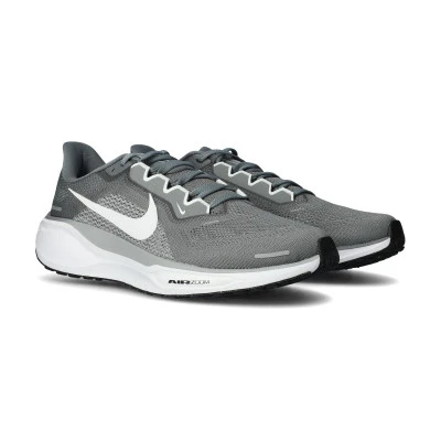 Chaussures Air Zoom Pegasus 41
