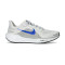 Chaussures Nike Air Zoom Pegasus 41