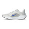 Chaussures Nike Air Zoom Pegasus 41