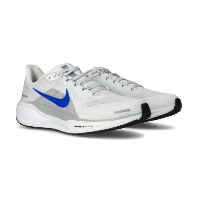 Chaussures Air Zoom Pegasus 41