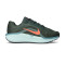 Chaussures Nike Winflo 11