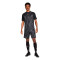 Short Nike Academy Essentials