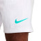 Short Nike Academy Essentials