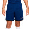 Short Nike Academy 25