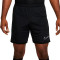 Short Nike Academy 25