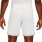 Short Nike Academy 25