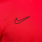 T-Shirt Nike Academy 25