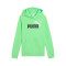 Sweat-shirt Puma Essentials 2 Color Logo