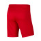 Short Nike Park III Knit Gimnástica de Torrelavega Niño