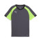 T-Shirt Puma IndividualLiga Jersey Jr.