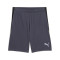 Short Puma Individualliga Training Shorts 2 (Open Pockets)