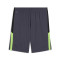 Short Puma Individualliga Training Shorts 2 (Open Pockets)