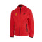 Veste Nike RCD Mallorca Vêtements de Sport Tech Fleece Windrunner Hoodie