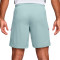 Short Nike Academy 25