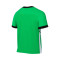 Maillot Nike Academy 25