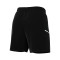 Short Nike Academy 25