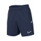 Short Nike Academy 25