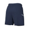 Short Nike Academy 25