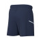 Short Nike Enfant Academy 25