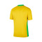 Maillot Nike Domicile Brésil Coupe d'Amérique 2025
