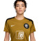 T-Shirt Nike Pays-bas femme Training Euro Féminin 2025