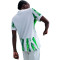 Maillot Nike Femme Extérieur Nigeria Coupe d'Áfrique Féminine 2025