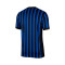 Maillot Nike Domicile Inter Milan Authentic 2025-2026