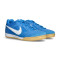 Baskets Nike Gato
