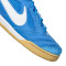 Baskets Nike Gato