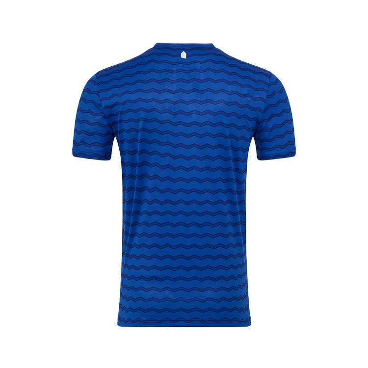 camiseta-castore-everton-fc-primera-equipacion-2025-2026-surf-the-web-blue-1