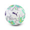 Ballon Puma Orbita Match Premier League Thrill 2025-2026 Fifa Quality