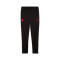 Pantalon Puma Ac Milan Training 2025-2026
