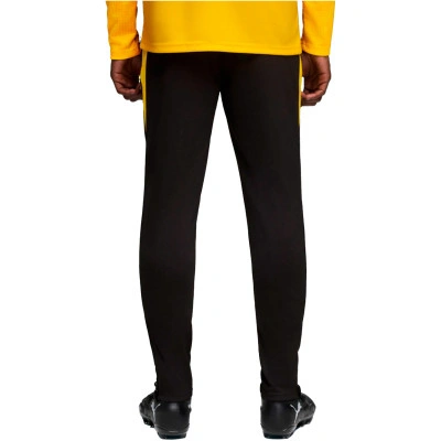 Pantalon Bvb Borussia Training 2025-2026