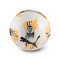 Ballon Puma Valencia Cf 2025-2026
