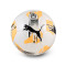 Ballon Puma Valencia Cf 2025-2026