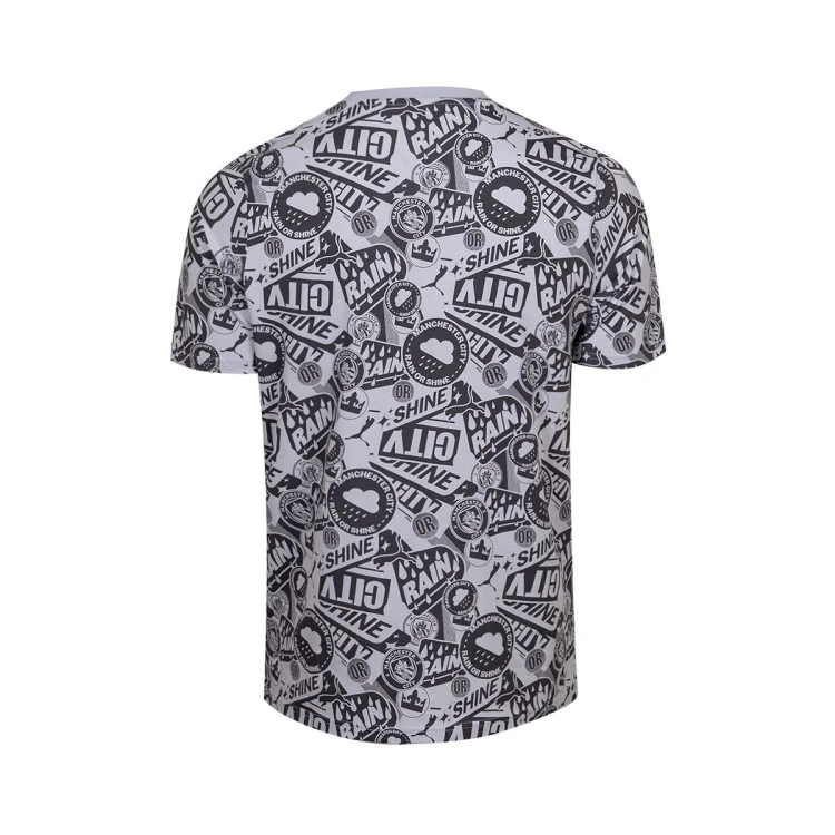 camiseta-puma-manchester-city-fanswear-2025-2026-gray-fog-pro-green-2
