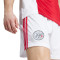 Short adidas Kit Domicile Ajax 2025-2026