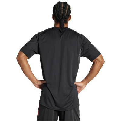 T-Shirt Ajax Entraînement 2025-2026