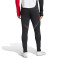 Pantalon adidas Ajax Training 2025-2026