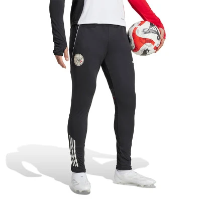 Pantalon Ajax Training 2025-2026