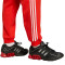 Pantalon adidas Fc Bayern Urban Purist Fanswear 2025-2026